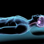 Illustration of a human figure with a highlighted brain