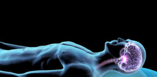 Illustration of a human figure with a highlighted brain