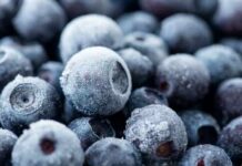 Close-up of frozen blueberries with a frosty texture