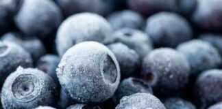 Close-up of frozen blueberries with a frosty texture