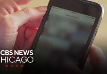 Phone use on toilet raises hemorrhoid risk, researchers find