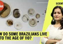 Genetic Secrets of Brazil’s Centenarians Revealed How do some Brazilians live up to 110 years Scientists hunt for