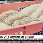The Rise of Fermented Bread: IBS Relief—or Just Tang? The Rise of Fermented Bread