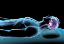 The Surprising Role of Nitric Oxide in Cognitive Decline Illustration of a human figure with a highlighted brain