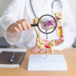 This Everyday Habit Protects Against Nanoplastics Doctor examining an anatomical model of the digestive system with a magnifying glass