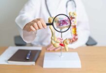 This Everyday Habit Protects Against Nanoplastics Doctor examining an anatomical model of the digestive system with a magnifying glass