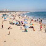 Shark Mauling Sparks ‘Safe Beach’ Warning Crowded beach with people sunbathing and playing in the water