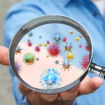 Cancer Cure’s Hidden Saboteur Exposed A person holding a magnifying glass showing colorful microorganisms