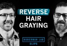 Gray Hair Reversal? From Preventive to Treatment How to Reverse Hair Graying | Dr. Martin Picard & Dr. Andrew Huberman