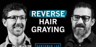 How to Reverse Hair Graying | Dr. Martin Picard & Dr. Andrew Huberman
