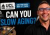 Concert Habit Stuns Aging Clocks Art Slows Aging Faster Than Exercise. Here Is What Is Actually Happening.