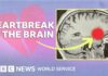 How love and heartbreak rewire your brain - BBC World Service