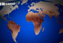 The Evolution of Human Skin Color and Pigmentation The Evolution of Human Skin Colour | BBC Earth Science
