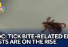 CDC Warning: Tick Surge Alarms ERs Nationwide CDC: Tick bite-related ER visits are on the rise
