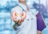 How Normal Kidney Tests Might Hide Disease Risks Doctor holding digital illustration of human kidneys