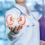 Doctor holding digital illustration of human kidneys