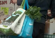 FDA investigates nearly a dozen foodborne illness outbreaks