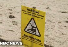 Bacteria shuts down beaches coast to coast in the U.S.