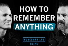 Why Struggling To Remember Beats Smooth Studying Protocols to Remember Everything You Learn | Dr. Alan Castel & Dr. Andrew Huberman