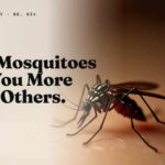 The Chemical Making Mosquitoes Choose You Why Mosquitoes Bite You More Than Others (It's Your Skin)