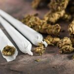 Three cannabis joints beside loose marijuana buds