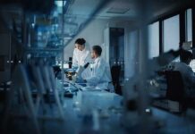 Scientists working in a modern laboratory