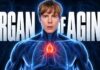 The Organ That Controls How Quickly You Age The Organ That Controls How Fast You Age