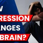 Depression and Brain Shrinking Research Shows Depression May Reduce Brain Memory Centre Volume in Older Adults