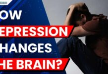 Research Shows Depression May Reduce Brain Memory Centre Volume in Older Adults