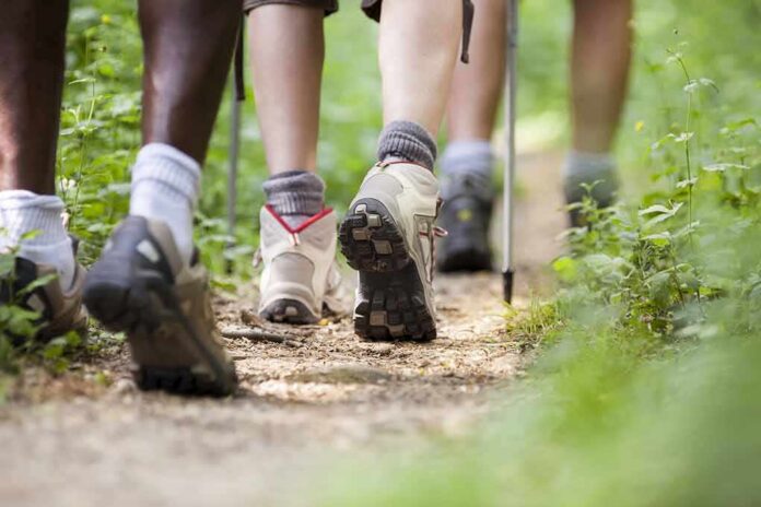 shutterstock_118086229 Hikers' feet walking on a forest trail