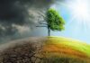Forever Chemicals: Ground Zero | Environment Tree split between dead and lush sides under dark clouds and bright sun
