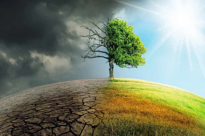 shutterstock_1269582256 Tree split between dead and lush sides under dark clouds and bright sun