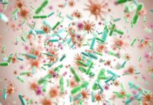 New Tick Virus Creeps Into 21 States Colorful microscopic bacteria and viruses floating in space