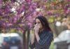 Flu Wave Looms – October Cutoff Nears Woman sneezing into tissue under blooming pink trees