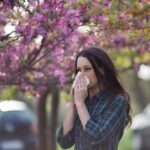 Flu Wave Looms – October Cutoff Nears Woman sneezing into tissue under blooming pink trees