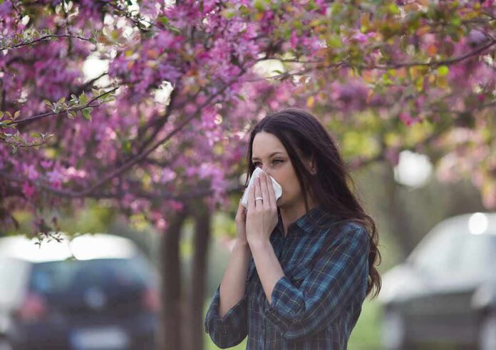 shutterstock_1067835524-2 Woman sneezing into tissue under blooming pink trees