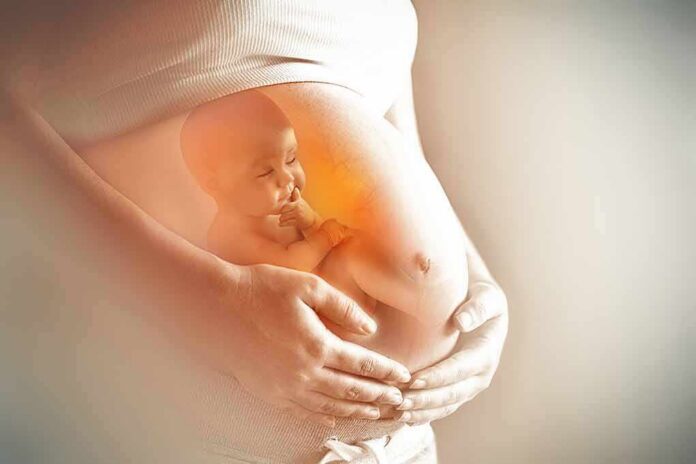 Pregnant belly with illustration of fetus inside