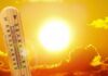 Daily Grapes, Weird UV Shift thermometer in front of a blazing sun and orange sky